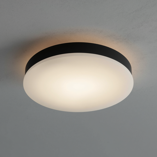 A modern minimalist round flush mount ceiling light with a matte black frame and a frosted white diffuser mounted on a neutral ceiling.